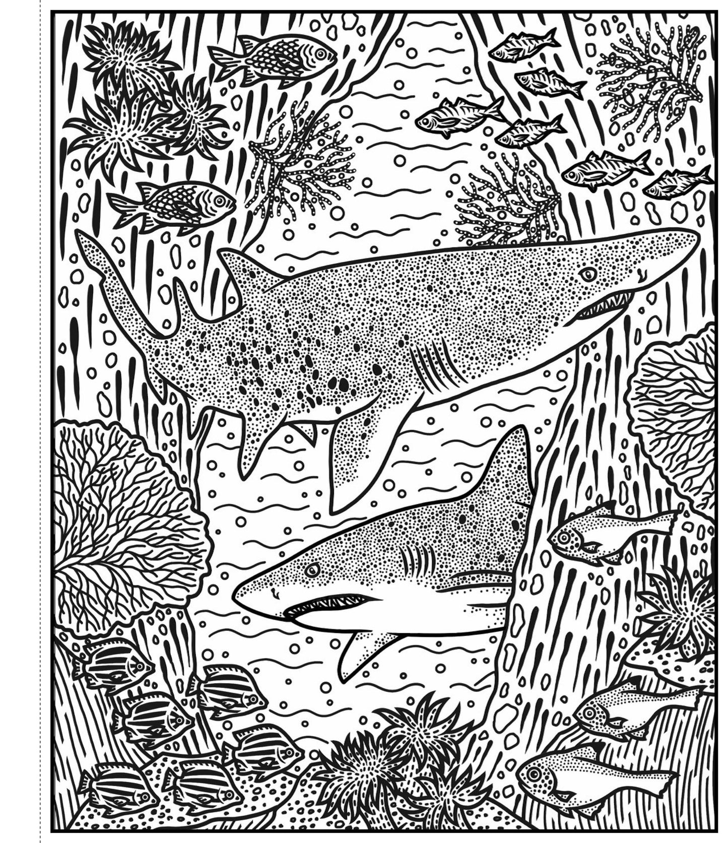 Sharks Magic Painting Book