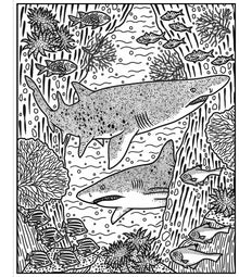 Sharks Magic Painting Book