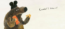Bear Worries Book