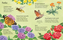 Usborne Minis: Things To Spot In Summer Book