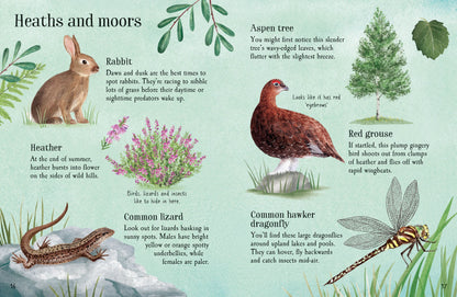 Usborne Minis: Things To Spot In Summer Book
