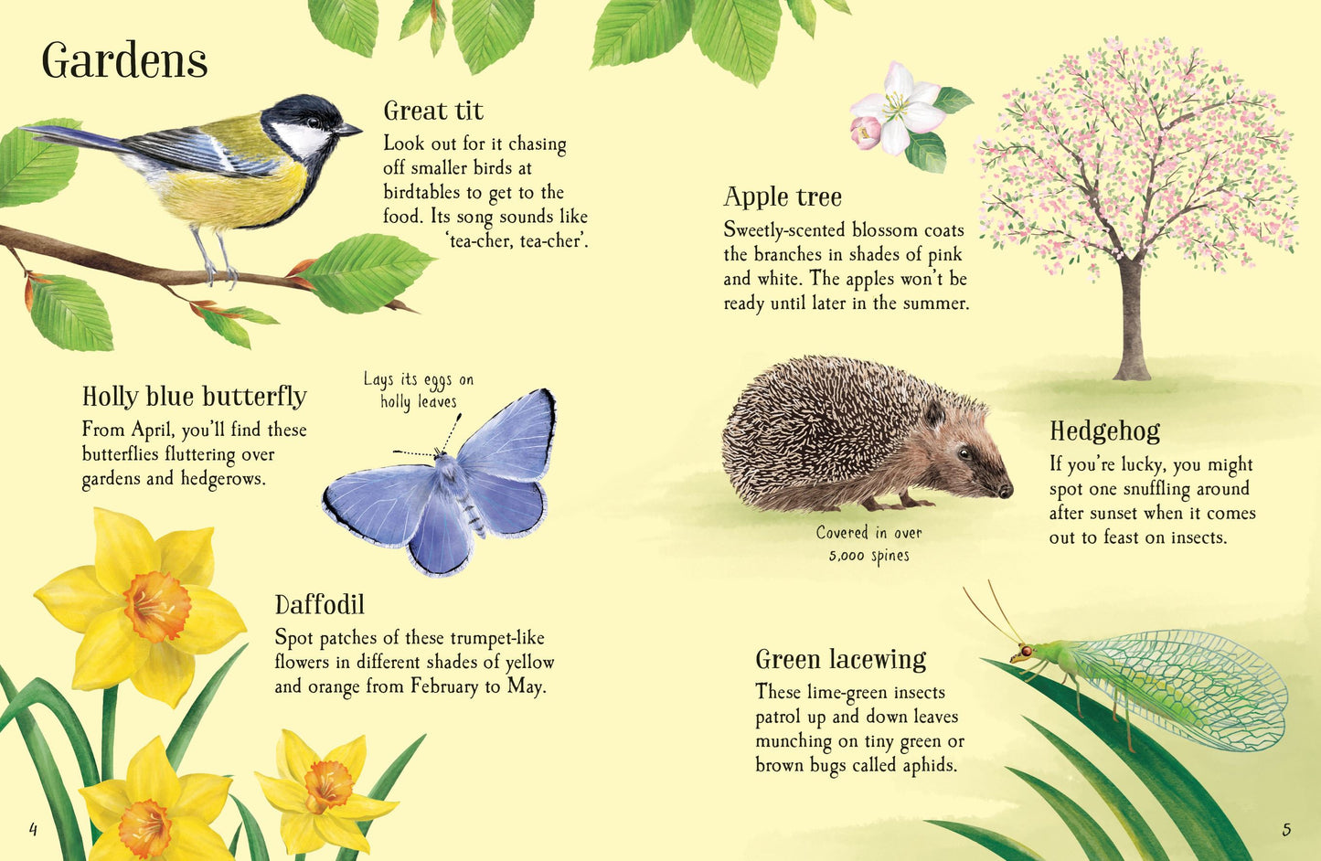 Usborne Minis: Things To Spot In Springtime Book
