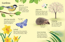 Usborne Minis: Things To Spot In Springtime Book