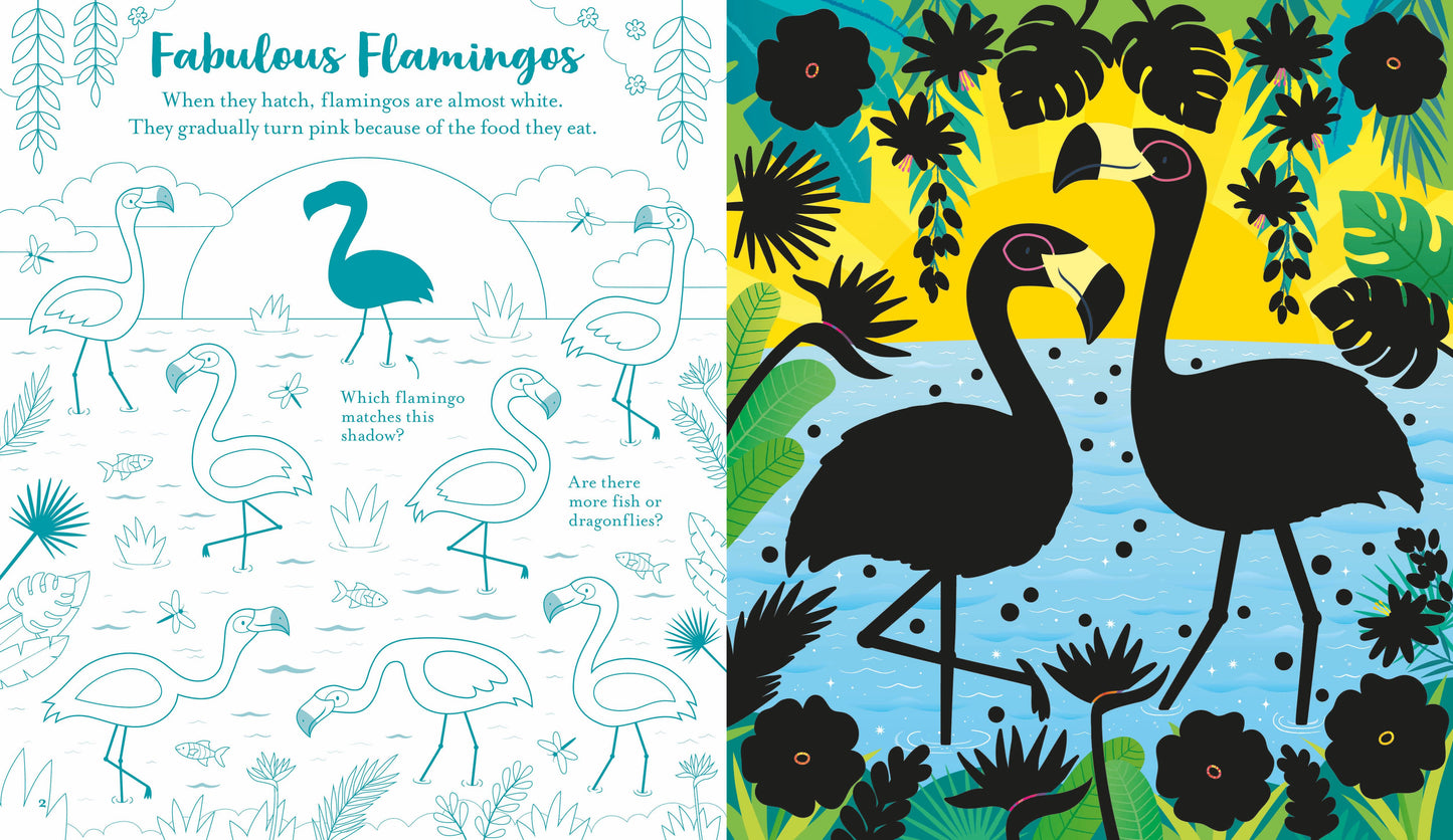 Usborne Scratch Activities: Animals (Pb)