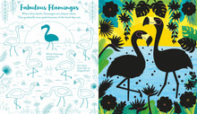 Usborne Scratch Activities: Animals (Pb)