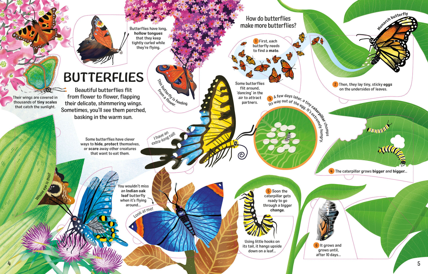 See Inside Bugs And Butterflies Lift Flap Board Book