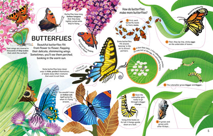 See Inside Bugs And Butterflies Lift Flap Board Book