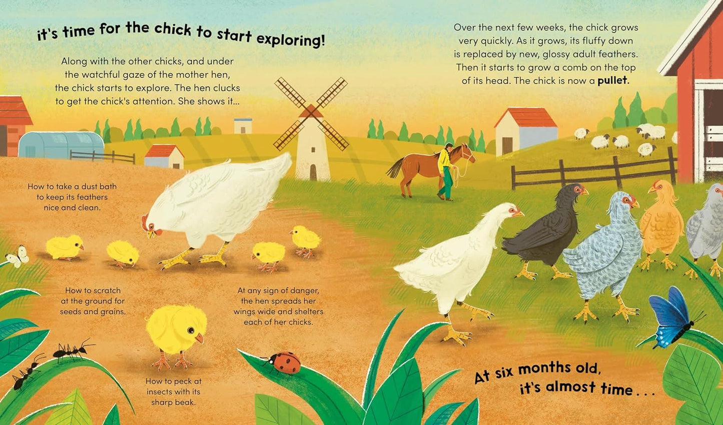 Watch Me Grow: Chickens (Hb) Book