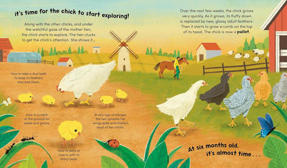 Watch Me Grow: Chickens (Hb) Book