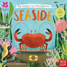 Big Outdoors For Little Explorers: Seaside (Sliders) (Board)