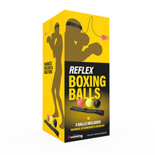 The Source Reflex Boxing Balls