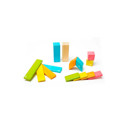 Tegu 14 Piece Set - Tints