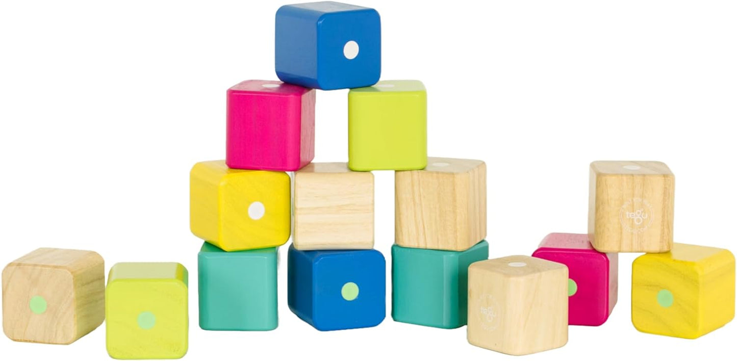 Tegu Baby’s First Blocks - 15 Piece