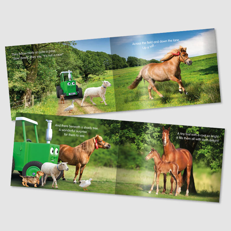 Tractor Ted Herb's Surprise Book