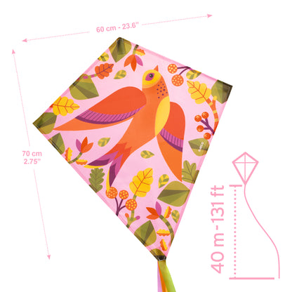 Djeco Birdy Kites