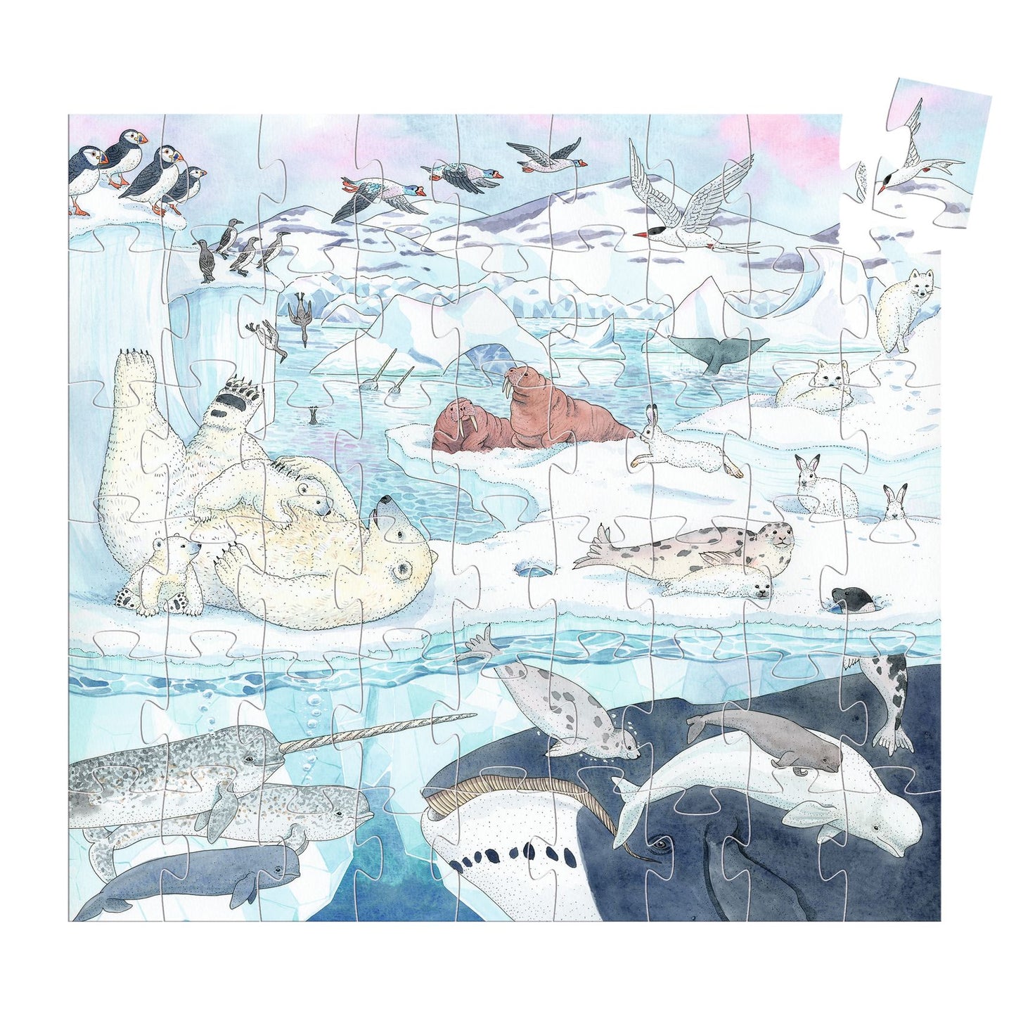 Djeco Polar Softness - 54 Pcs Silhouette Puzzles