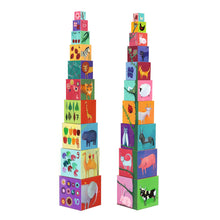Djeco 10 Nature and Animal Blocks