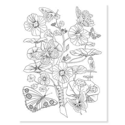 Djeco Colouring Gallery Naturalist