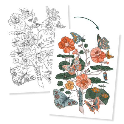 Djeco Colouring Gallery Naturalist