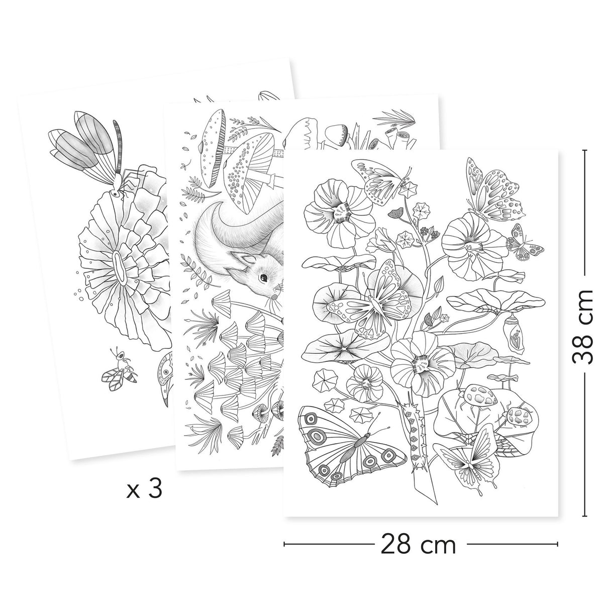 Djeco Colouring Gallery Naturalist