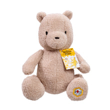 Rainbow Designs  WTP 100 Commemorative Soft Toy