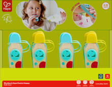 Hape Kazoo Assorted Display (1 Chosen at Random)