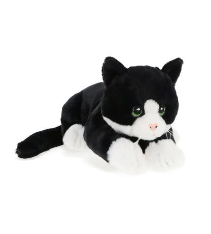 Keel Toys 22cm Keeleco Kittens 4 Asstd ( 1 Chosen)