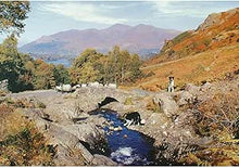 The House Of Puzzles Thirsty Work 1000 Piece Puzzle