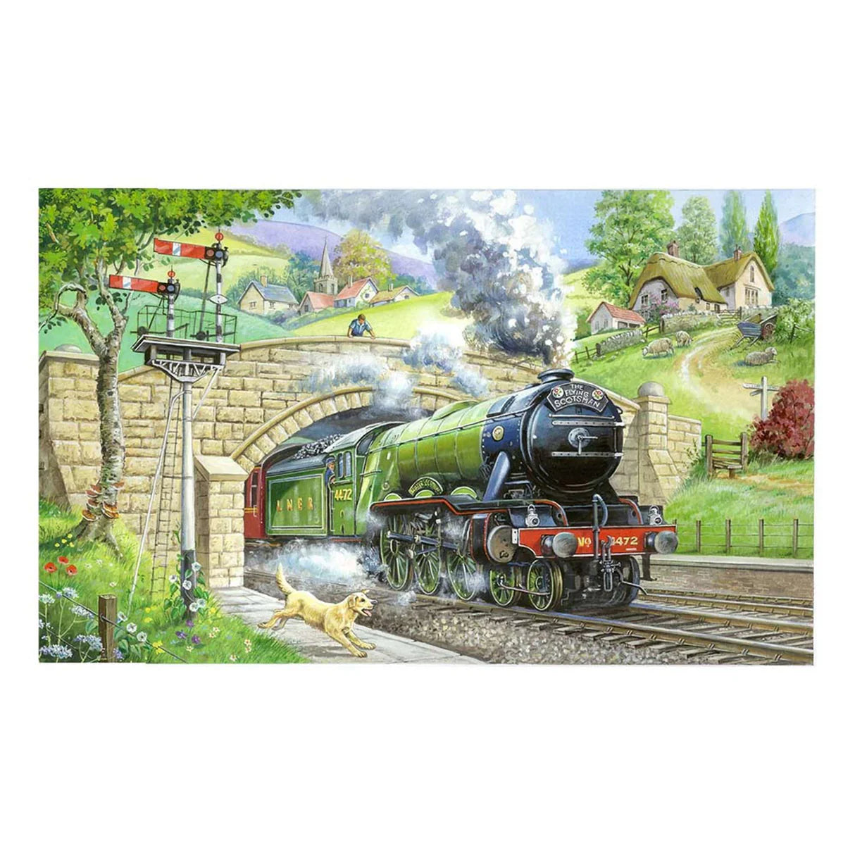 The House Of Puzzles Train Spotting BIG 250 Puzzle