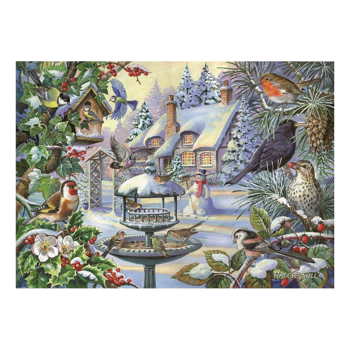 The House Of Puzzles Winter Birds BIG 500 Puzzle