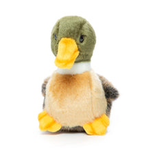 Hansa Baby Duck 19Cm