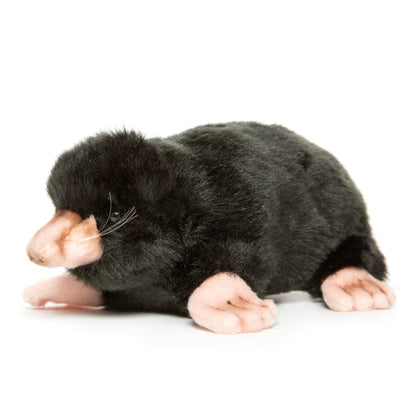 Hansa Mole