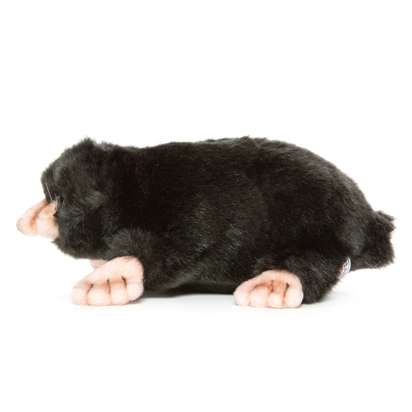 Hansa Mole