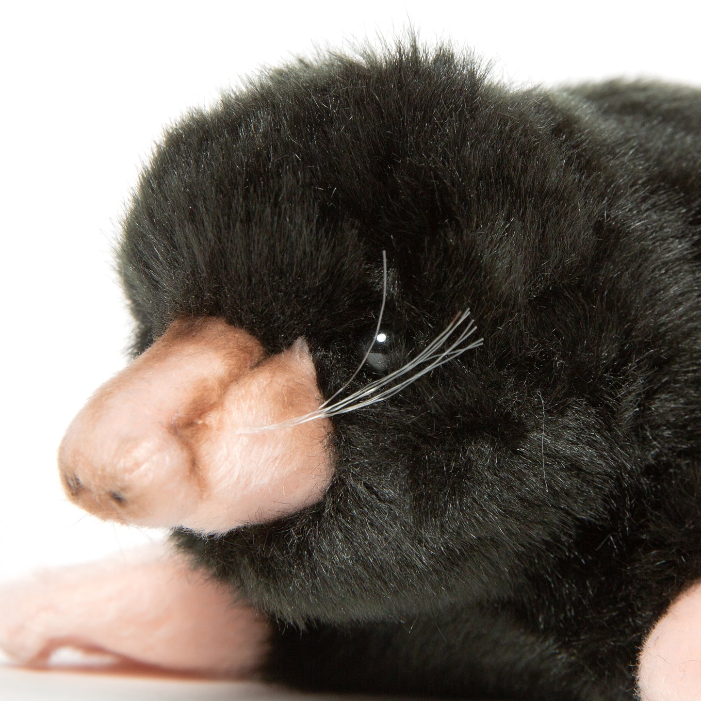 Hansa Mole