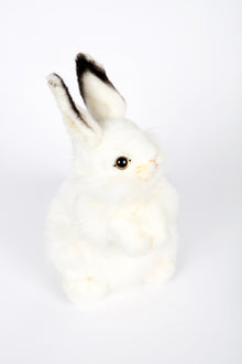 Hansa Rabbit (White)
