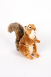 Hansa Red Squirrel