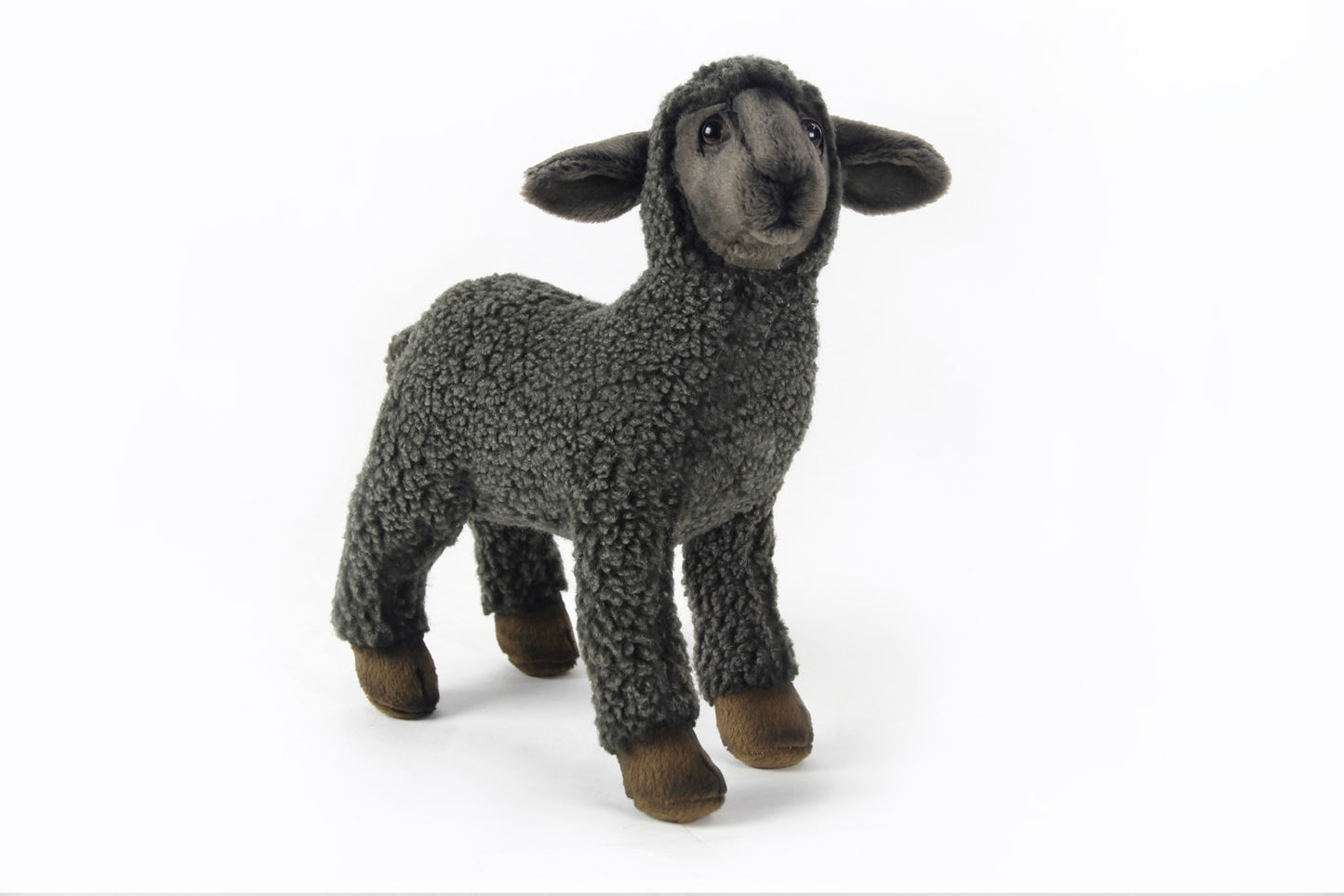 Hansa Black Lamb