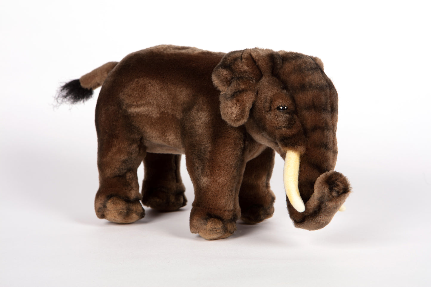 Hansa Asian Elephant