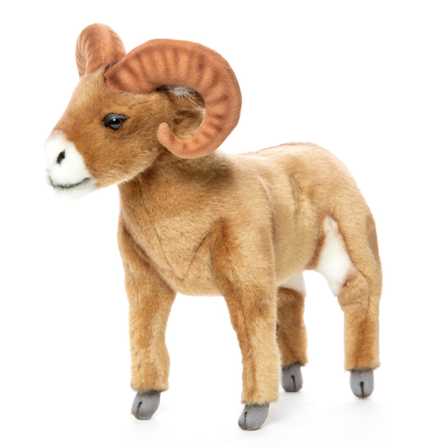 Hansa Big Horn Sheep