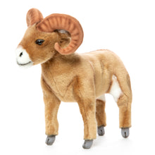 Hansa Big Horn Sheep