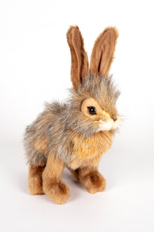 Hansa Jack Rabbit