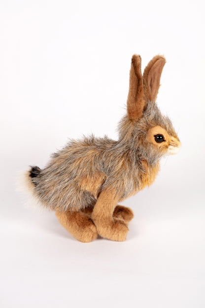 Hansa Jack Rabbit