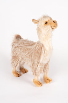 Hansa Llama Bull