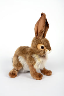 Hansa Black Tailed Rabbit