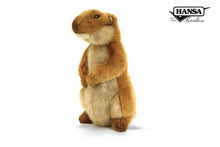 Hansa Prairie Dog
