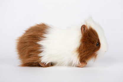 Hansa Guinea Pig (Brown/White)