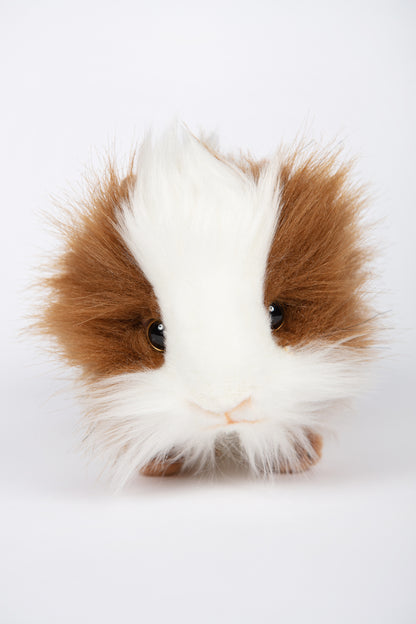 Hansa Guinea Pig (Brown/White)