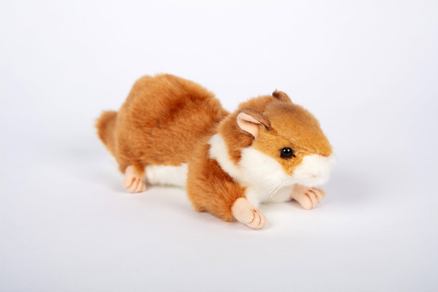 Hansa Hamster