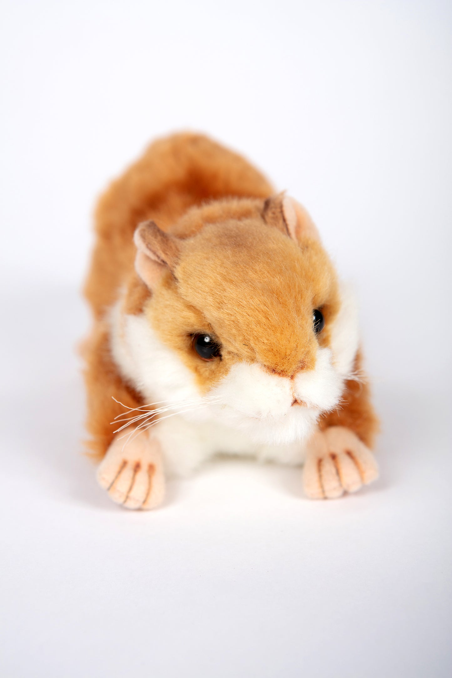 Hansa Hamster