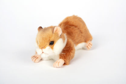 Hansa Hamster